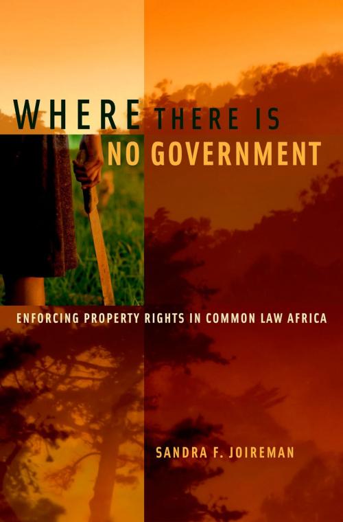 Cover of the book Where There is No Government by Sandra F. Joireman, Oxford University Press