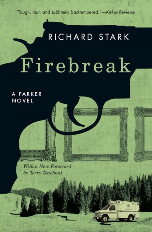 Cover of the book Firebreak by Richard Stark, University of Chicago Press