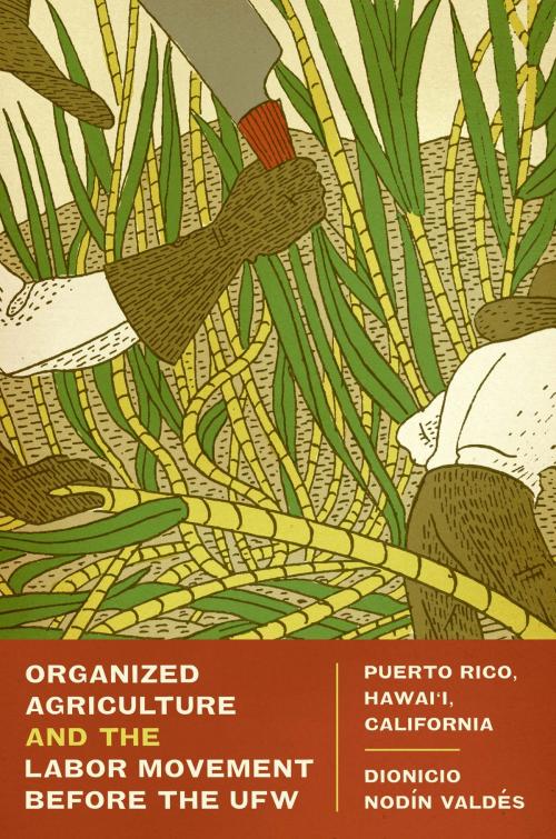 Cover of the book Organized Agriculture and the Labor Movement before the UFW by Dionicio Nodín Valdés, University of Texas Press