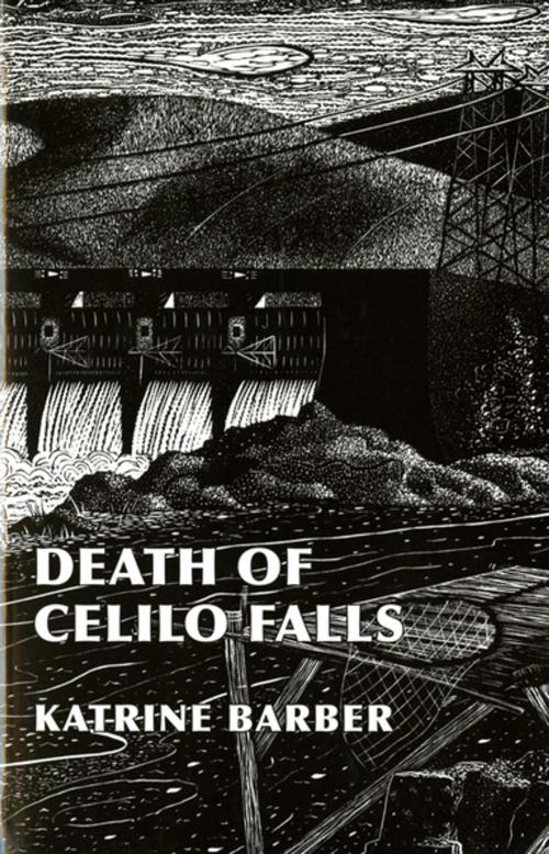 Cover of the book Death of Celilo Falls by Katrine Barber, University of Washington Press