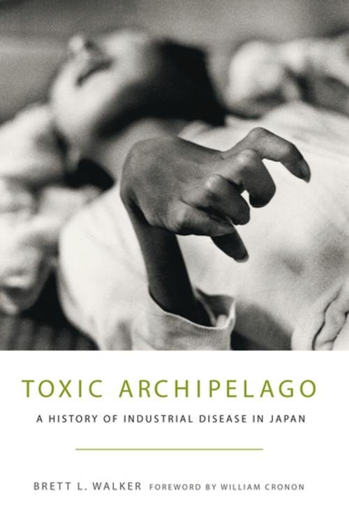 Cover of the book Toxic Archipelago by Brett L. Walker, University of Washington Press