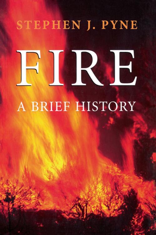 Cover of the book Fire by Stephen J. Pyne, University of Washington Press