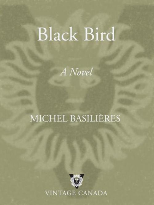Cover of the book Black Bird by Michel Basilieres, Knopf Canada