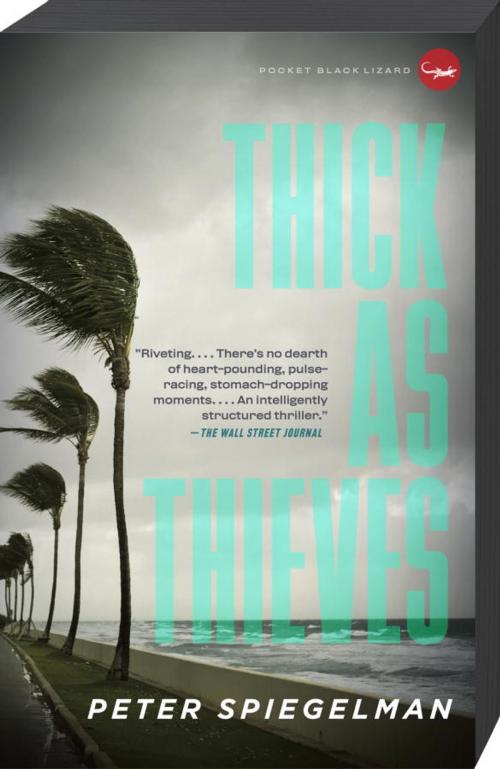 Cover of the book Thick as Thieves by Peter Spiegelman, Knopf Doubleday Publishing Group