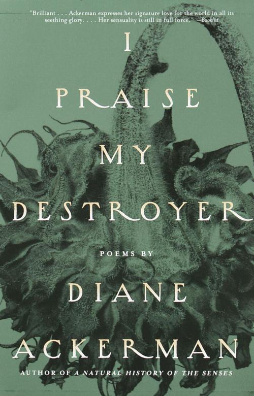 Cover of the book I Praise My Destroyer by Diane Ackerman, Knopf Doubleday Publishing Group
