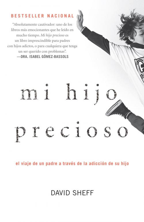 Cover of the book Mi hijo precioso by David Sheff, Knopf Doubleday Publishing Group
