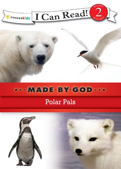 Cover of the book Polar Pals by Zondervan, Zonderkidz