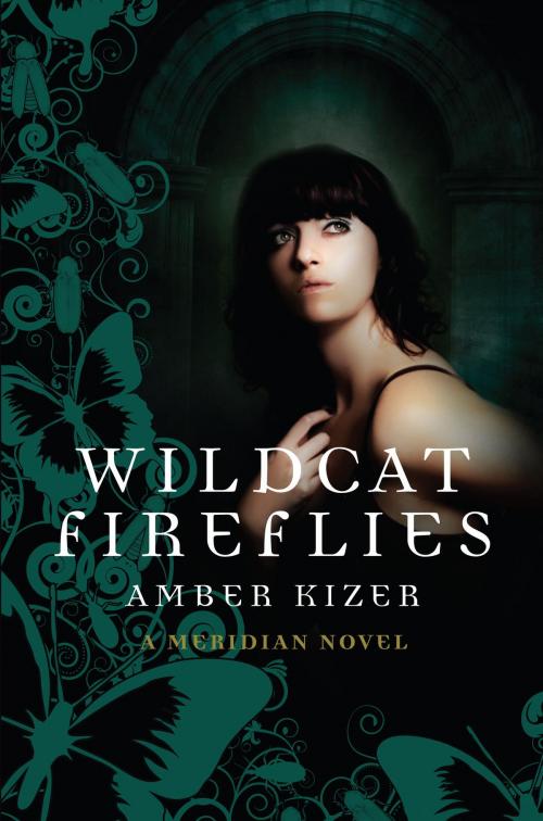 Cover of the book Wildcat Fireflies by Amber Kizer, Random House Children's Books