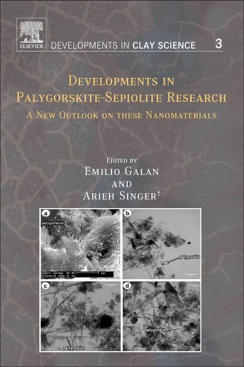 Cover of the book Developments in Palygorskite-Sepiolite Research by Arieh Singer, Emilio Galan, Elsevier Science