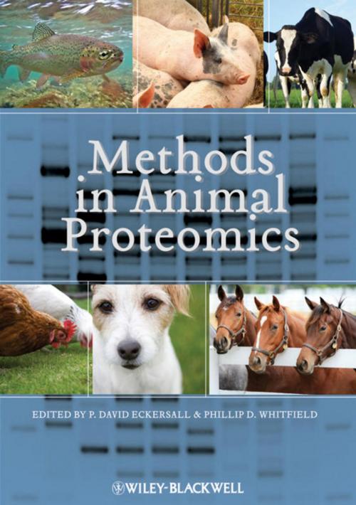Cover of the book Methods in Animal Proteomics by David Eckersall, Philip Whitfield, Wiley