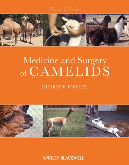 Cover of the book Medicine and Surgery of Camelids by Murray Fowler, Wiley