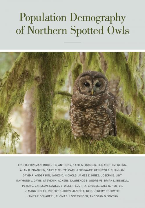 Cover of the book Population Demography of Northern Spotted Owls by Eric Forsman, University of California Press