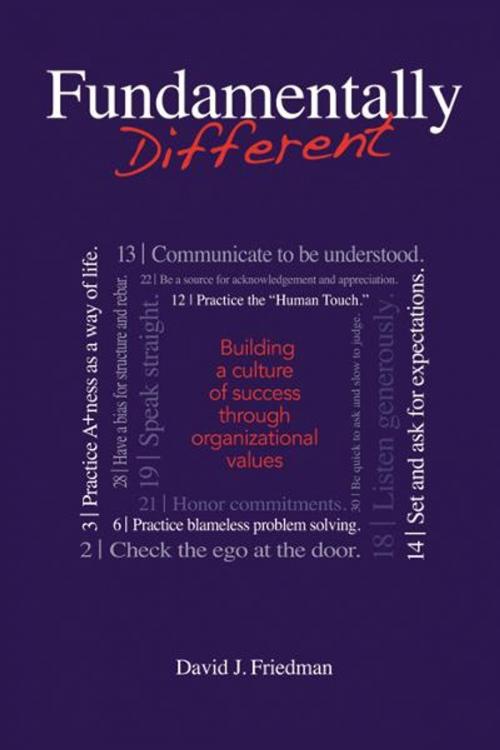 Cover of the book Fundamentally Different by David J. Friedman, Infinity Publishing