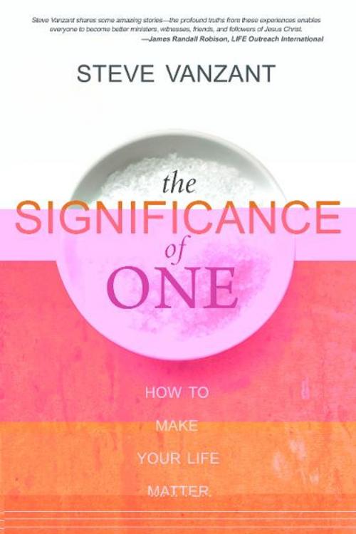 Cover of the book The Significance of One: How to Make Your Life Matter by Steve Vanzant, Destiny Image, Inc.
