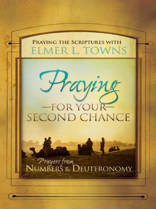 Cover of the book Praying for Your Second Chance: Prayers from Numbers & Deuteronomy by Elmer Towns, Destiny Image, Inc.