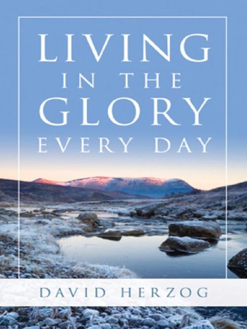 Cover of the book Living in the Glory Every Day by David Herzog, Destiny Image, Inc.