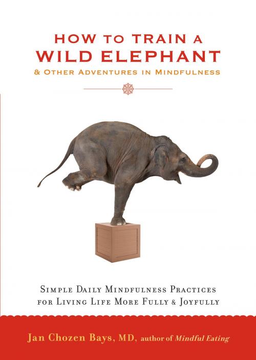 Cover of the book How to Train a Wild Elephant by Jan Chozen Bays, Shambhala