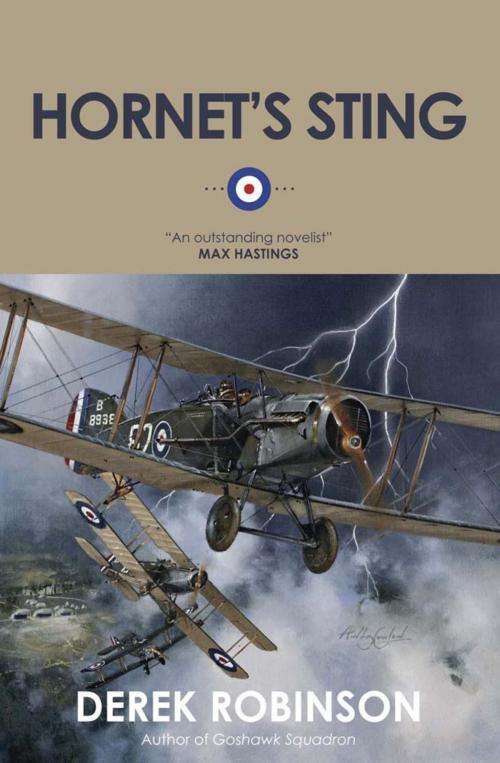 Cover of the book Hornet's Sting by Derek Robinson, Quercus Publishing