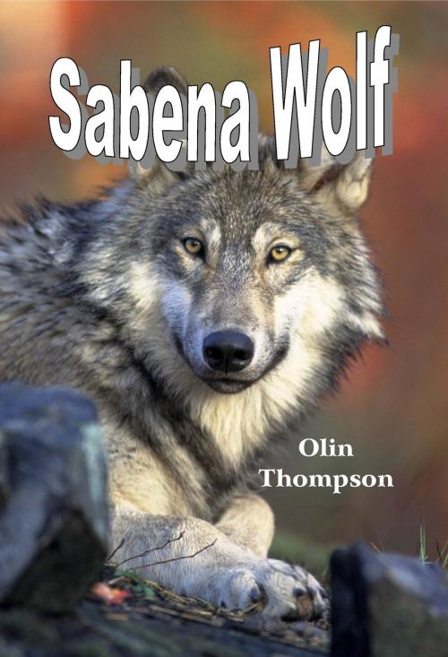 Cover of the book Sabena Wolf by Olin Thompson, Sam Warren