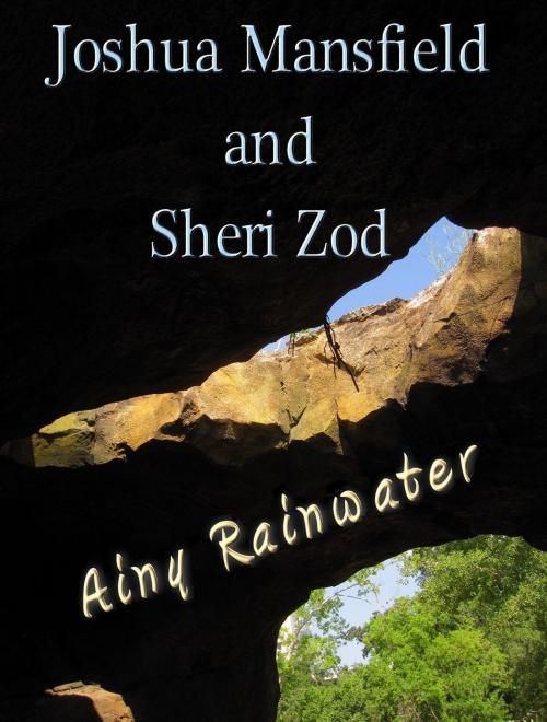 Cover of the book Joshua Mansfield and Sheri Zod by Ainy Rainwater, Ainy Rainwater
