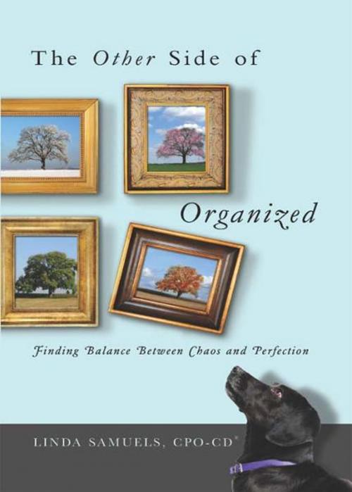 Cover of the book The Other Side of Organized by Linda Samuels, CPO-CD®, Oh, So Publishing!
