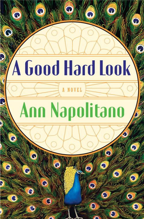 Cover of the book A Good Hard Look by Ann Napolitano, Penguin Publishing Group