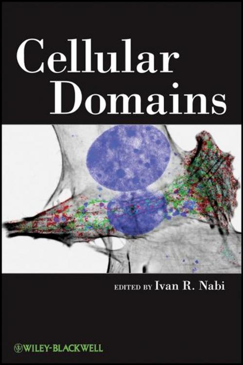 Cover of the book Cellular Domains by Ivan R. Nabi, Wiley