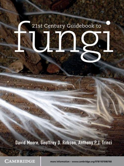 Cover of the book 21st Century Guidebook to Fungi by David Moore, Geoffrey D. Robson, Anthony P. J. Trinci, Cambridge University Press