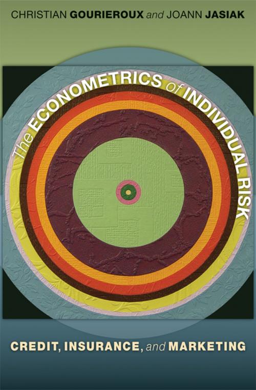 Cover of the book The Econometrics of Individual Risk by Christian Gourieroux, Joann Jasiak, Princeton University Press
