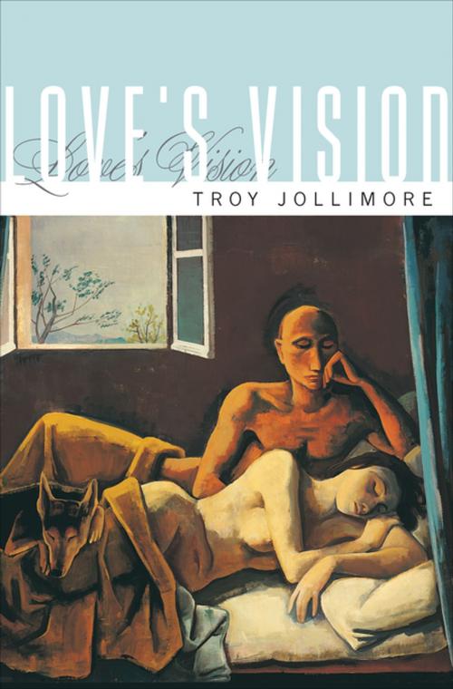 Cover of the book Love's Vision by Troy Jollimore, Princeton University Press