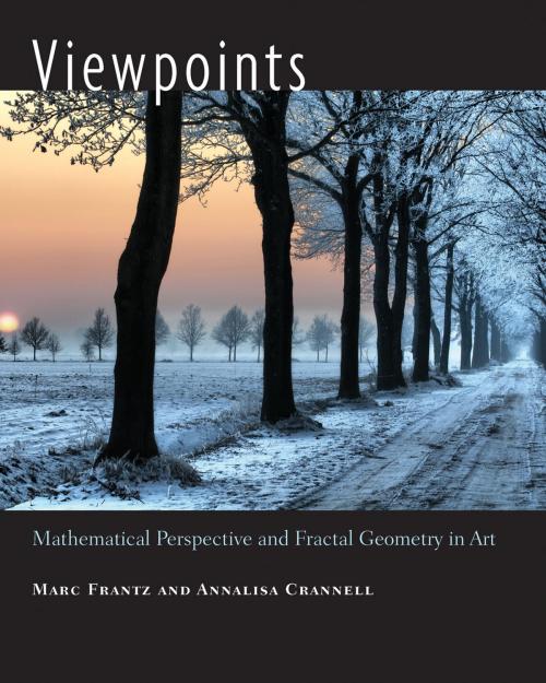 Cover of the book Viewpoints by Marc Frantz, Annalisa Crannell, Princeton University Press
