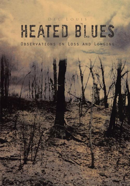 Cover of the book Heated Blues by Del Louis, Trafford Publishing