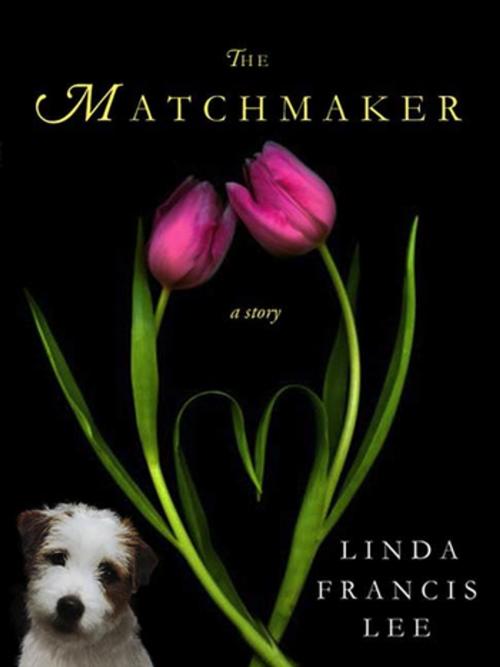 Cover of the book The Matchmaker by Linda Francis Lee, St. Martin's Press