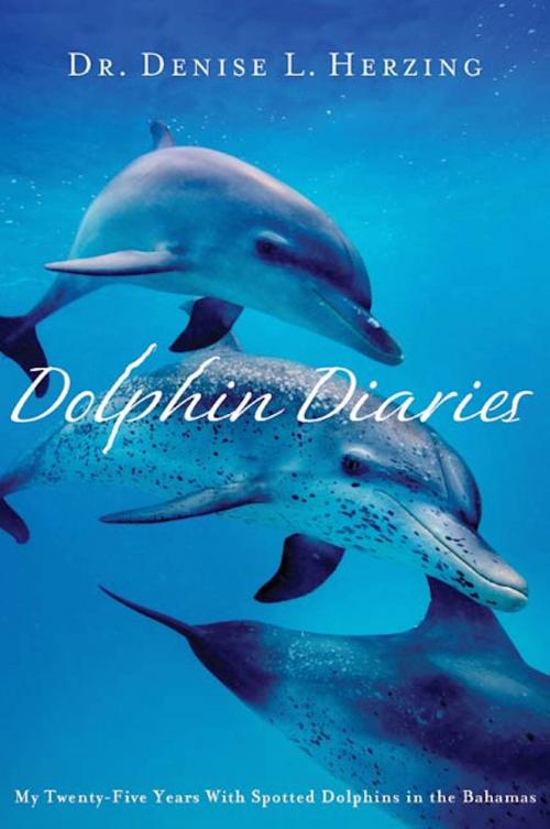 Cover of the book Dolphin Diaries by Dr. Denise L. Herzing, St. Martin's Press