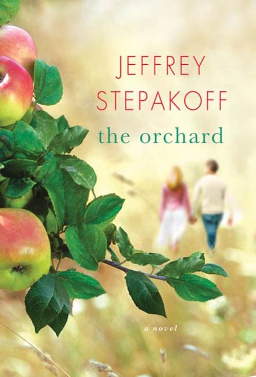 Cover of the book The Orchard by Jeffrey Stepakoff, St. Martin's Press