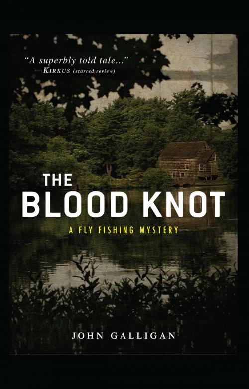 Cover of the book The Blood Knot by John Galligan, Gallery Books