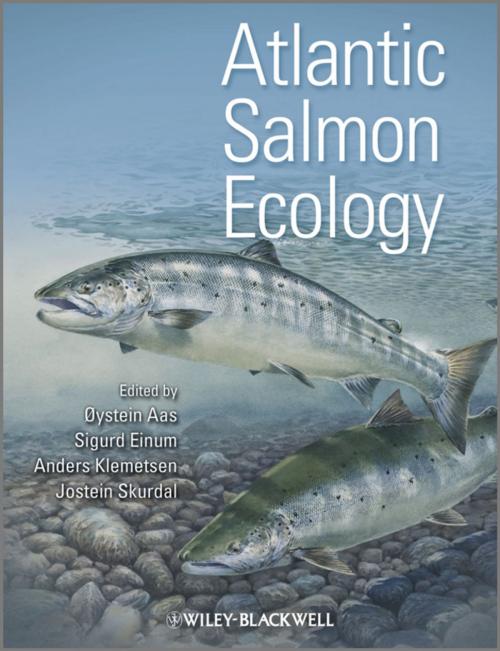 Cover of the book Atlantic Salmon Ecology by , Wiley