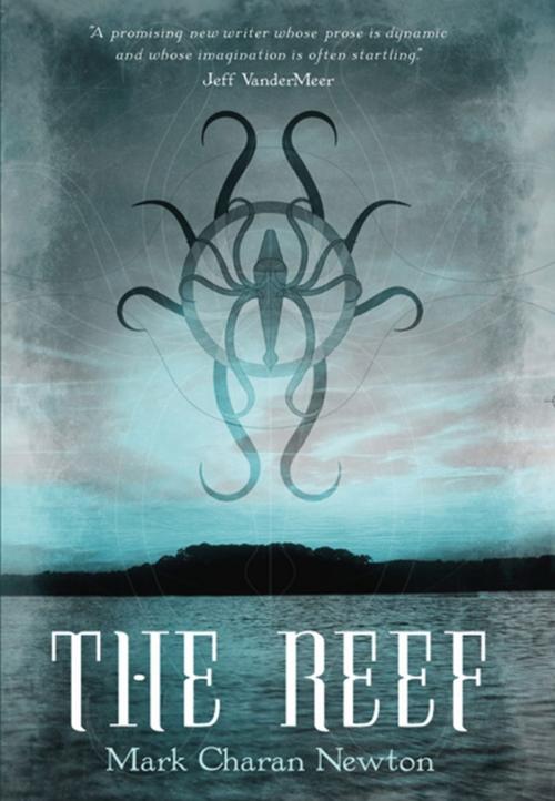 Cover of the book The Reef by Mark Charan Newton, Pan Macmillan