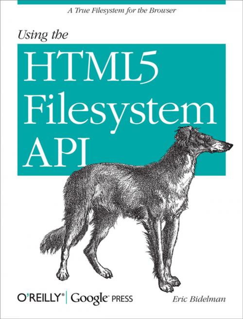 Cover of the book Using the HTML5 Filesystem API by Eric Bidelman, O'Reilly Media