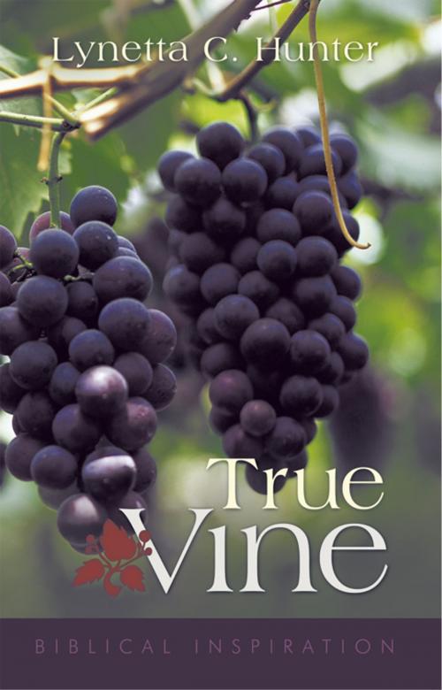 Cover of the book True Vine by Lynetta C. Hunter, WestBow Press