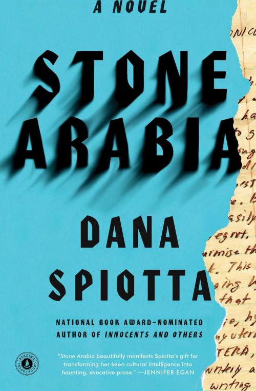 Cover of the book Stone Arabia by Dana Spiotta, Scribner