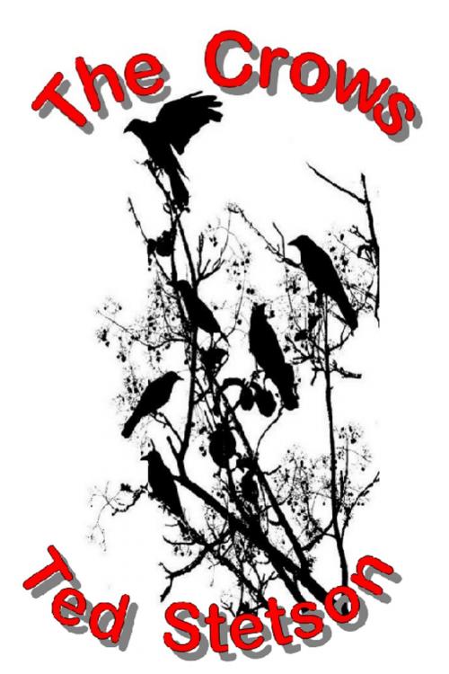 Cover of the book The Crows by Ted Stetson, Ted Stetson