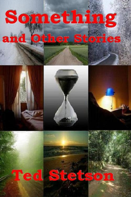 Cover of the book Something and Other Stories by Ted Stetson, Ted Stetson