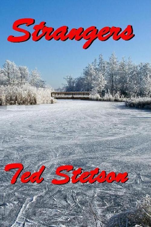 Cover of the book Strangers by Ted Stetson, Ted Stetson