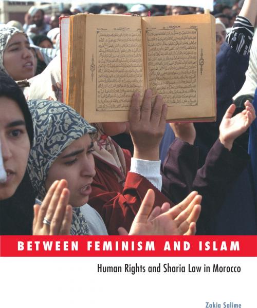 Cover of the book Between Feminism and Islam by Zakia Salime, University of Minnesota Press