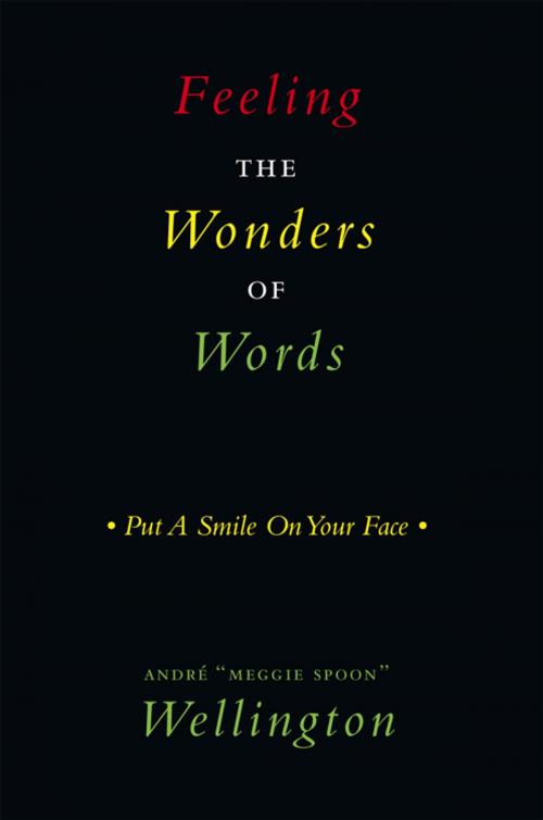 Cover of the book Feeling the Wonders of Words by André Wellington, AuthorHouse