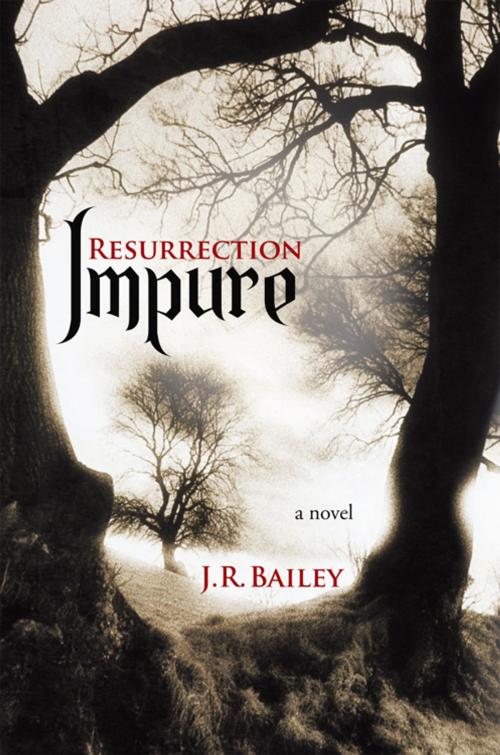 Cover of the book Impure by J. R. Bailey, iUniverse