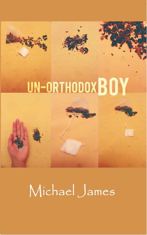 Cover of the book Un-Orthodox Boy by Michael James, iUniverse