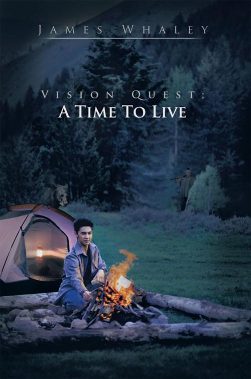 Cover of the book Vision Quest; a Time to Live by James Whaley, iUniverse