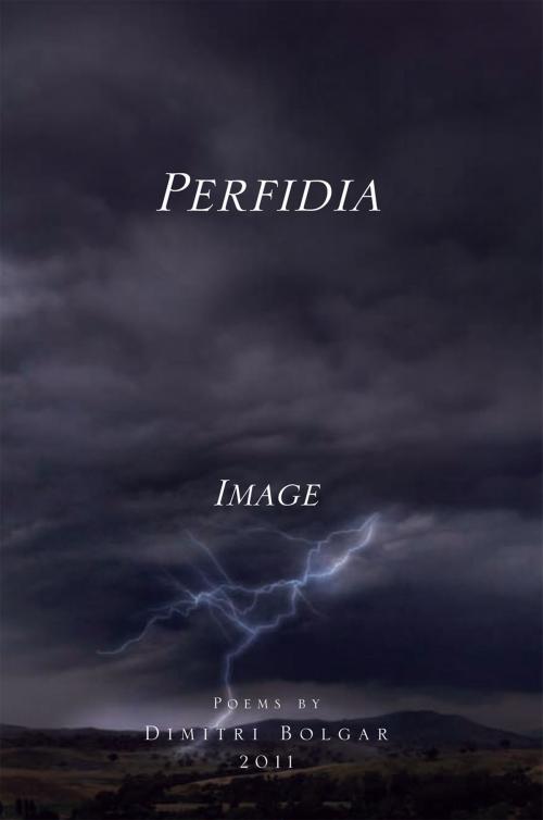 Cover of the book Perfidia by Dimitri Bolgar, Xlibris US